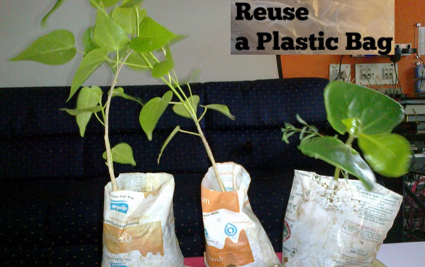 reuse a bag